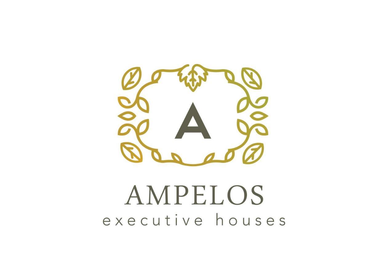 Pýrgos Ampelos Executive Houses מראה חיצוני תמונה